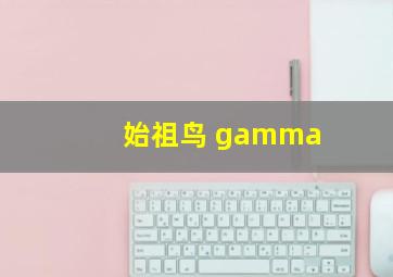 始祖鸟 gamma